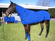 Horse Image